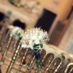 My vintage wedding venue - The Quinta