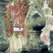 The Quinta - wedding vintage venue - Portugal